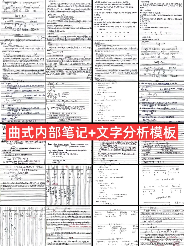 曲式分析真实资料